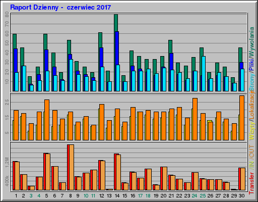 Raport Dzienny -  czerwiec 2017