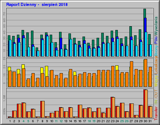 Raport Dzienny -  sierpień 2018