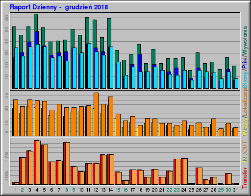 Raport Dzienny -  grudzień 2018