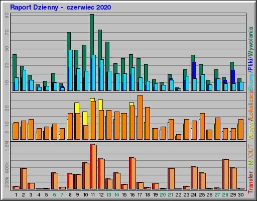 Raport Dzienny -  czerwiec 2020