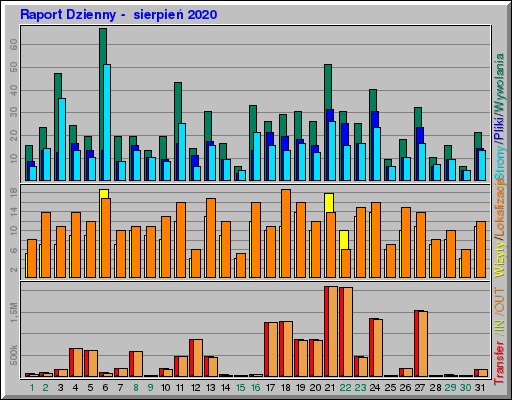 Raport Dzienny -  sierpień 2020