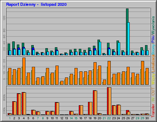 Raport Dzienny -  listopad 2020