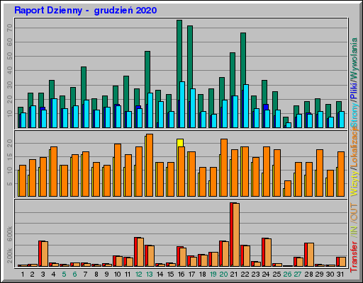 Raport Dzienny -  grudzień 2020