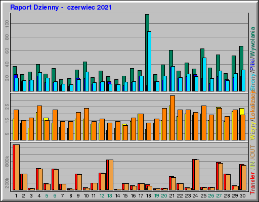 Raport Dzienny -  czerwiec 2021