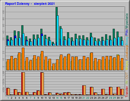 Raport Dzienny -  sierpień 2021