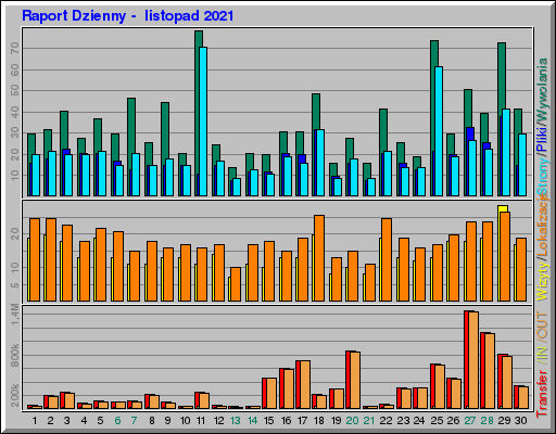 Raport Dzienny -  listopad 2021