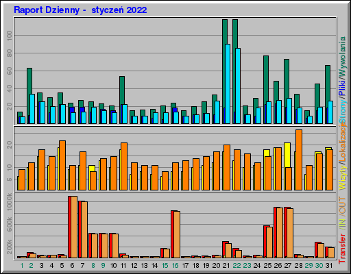 Raport Dzienny -  styczeń 2022