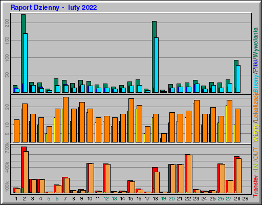 Raport Dzienny -  luty 2022