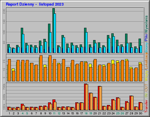 Raport Dzienny -  listopad 2023