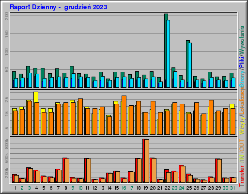 Raport Dzienny -  grudzień 2023