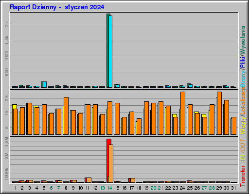 Raport Dzienny -  styczeń 2024