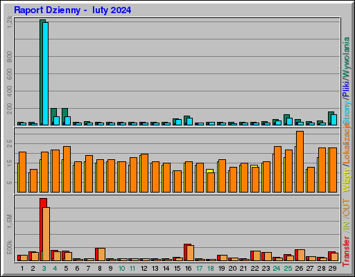 Raport Dzienny -  luty 2024