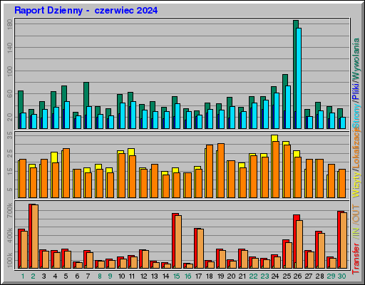 Raport Dzienny -  czerwiec 2024