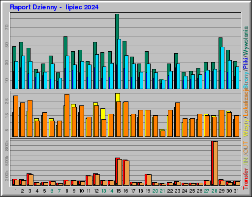 Raport Dzienny -  lipiec 2024