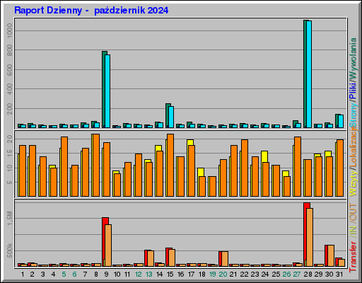 Raport Dzienny -  październik 2024
