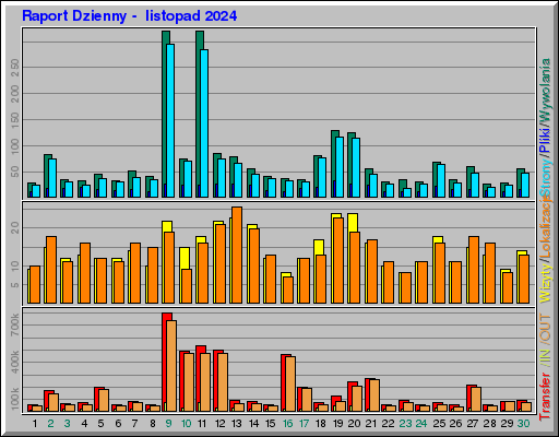 Raport Dzienny - listopad 2024 Raport Dzienny - listopad 2024