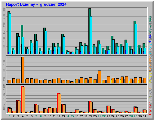 Raport Dzienny -  grudzień 2024