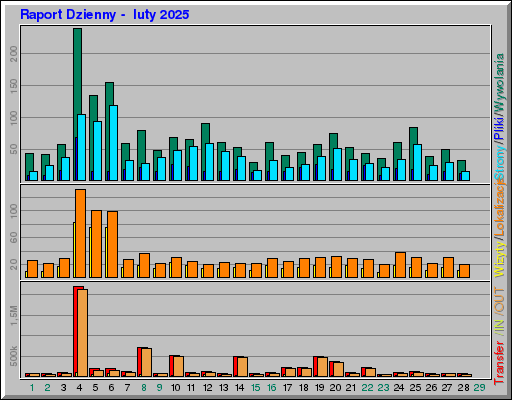 Raport Dzienny -  luty 2025