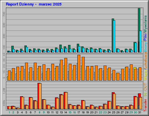 Raport Dzienny -  marzec 2025