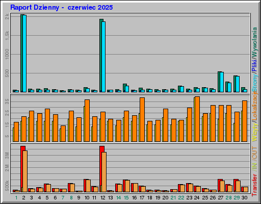 Raport Dzienny - czerwiec 2025 Raport Dzienny - czerwiec 2025