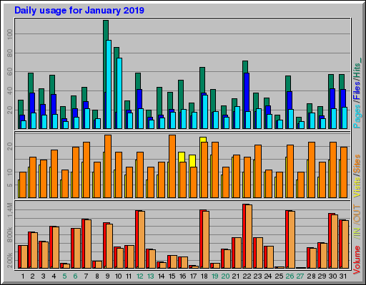 Raport Dzienny - styczeń 2019 Raport Dzienny - styczeń 2019
