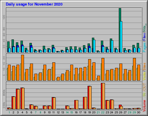 Raport Dzienny - listopad 2020 Raport Dzienny - listopad 2020