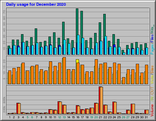 Raport Dzienny - grudzień 2020 Raport Dzienny - grudzień 2020