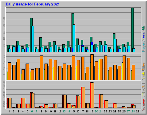 Raport Dzienny - luty 2021 Raport Dzienny - luty 2021