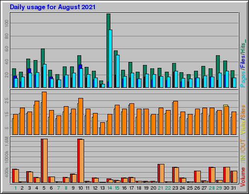 Raport Dzienny -  sierpień 2021