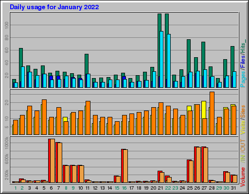 Raport Dzienny - styczeń 2022 Raport Dzienny - styczeń 2022