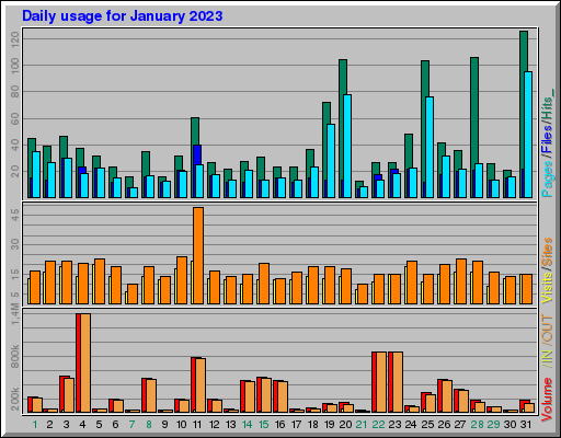Raport Dzienny -  styczeń 2023