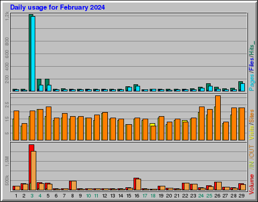 Raport Dzienny -  luty 2024