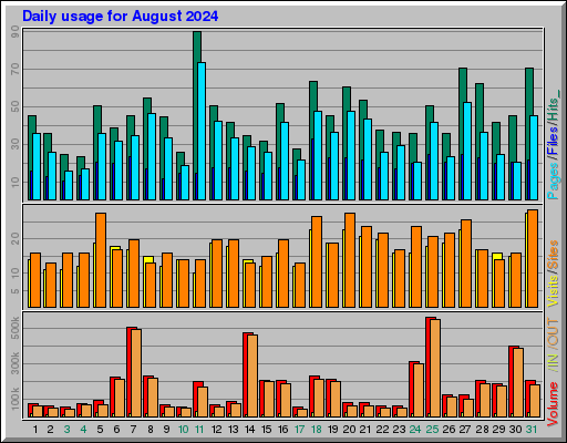 Raport Dzienny -  sierpień 2024