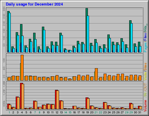 Raport Dzienny -  grudzień 2024