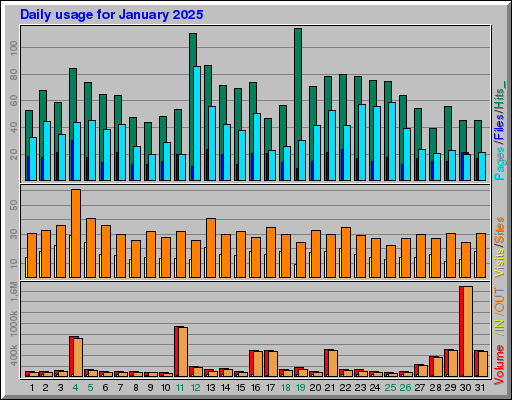 Raport Dzienny -  styczeń 2025
