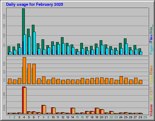 Raport Dzienny -  luty 2025