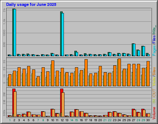 Raport Dzienny -  czerwiec 2025