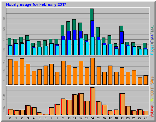 Raport Godzinowy - luty 2017 Raport Godzinowy - luty 2017