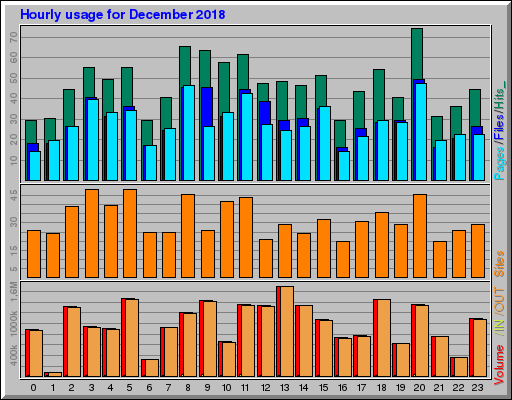 Raport Godzinowy -  grudzień 2018