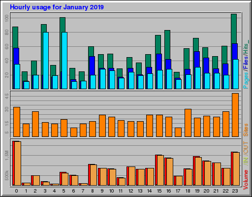 Raport Godzinowy - styczeń 2019 Raport Godzinowy - styczeń 2019