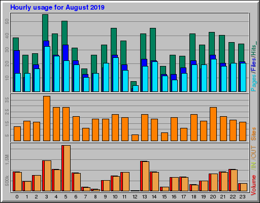 Raport Godzinowy - sierpień 2019 Raport Godzinowy - sierpień 2019