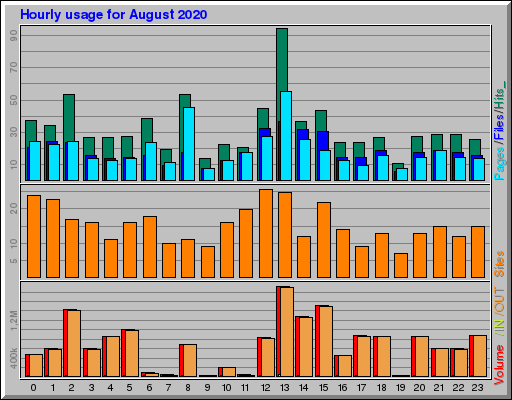 Raport Godzinowy -  sierpień 2020