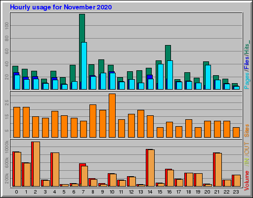 Raport Godzinowy -  listopad 2020
