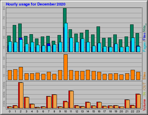 Raport Godzinowy -  grudzień 2020