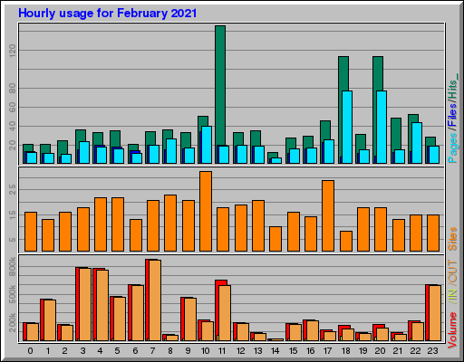 Raport Godzinowy - luty 2021 Raport Godzinowy - luty 2021