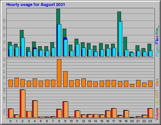 Raport Godzinowy - sierpień 2021 Raport Godzinowy - sierpień 2021