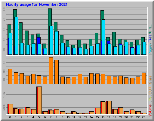 Raport Godzinowy -  listopad 2021