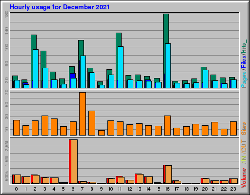 Raport Godzinowy -  grudzień 2021