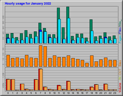 Raport Godzinowy - styczeń 2022 Raport Godzinowy - styczeń 2022