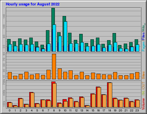 Raport Godzinowy - sierpień 2022 Raport Godzinowy - sierpień 2022